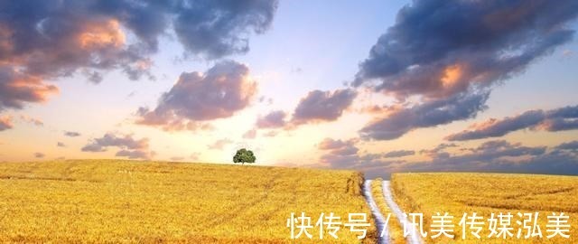 以战养战|这三个星座，注定会成为王者，不畏艰难，以战养战，突破层层束缚