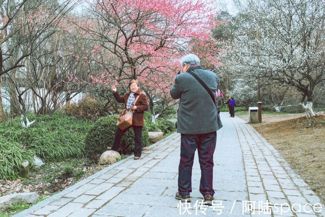 探梅|这个时节到灵峰探梅的人很多，其实越往里走越安静，更适合拍照
