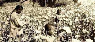 鸦片|林则徐虎门销烟，用海水浸泡40多天，为什么不用火烧