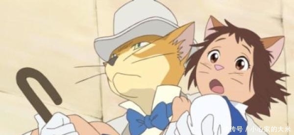 龙猫|官宣!《宫崎骏与吉卜力的世界》将于6月正式亮相北京_娱乐频道_中国青年网