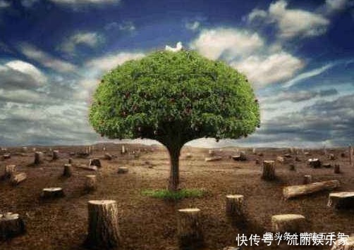 消耗 地球又一重要資源將被消耗完,中國(guó)受到?jīng)_擊最大,未來(lái)該怎么辦