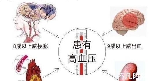 降压药|高血压为什么不能根治?