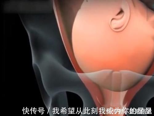 泪奔|顺产的全过程到底是怎样的,生而为人需了解,请勿泪奔