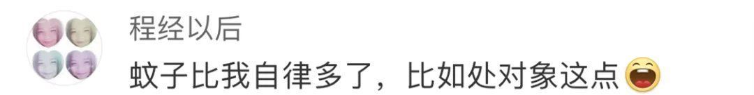 阿姨|上海“灭霸阿姨”来赛！用13年钻研出《蚊虫作息表》！附防蚊秘笈