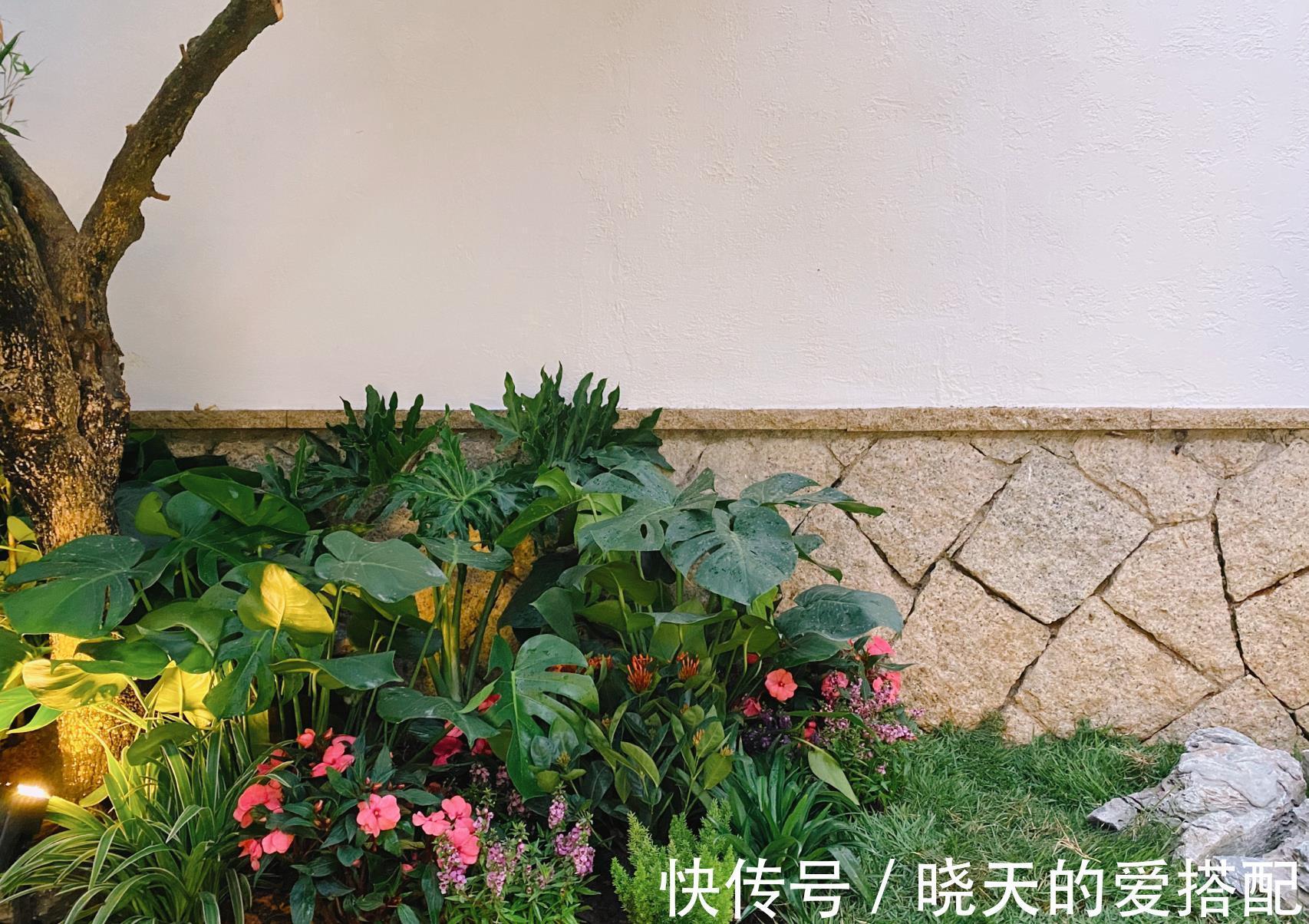 治愈系|小空间庭院花园，正确的绿植搭配技巧，让小院落变身治愈系小花园