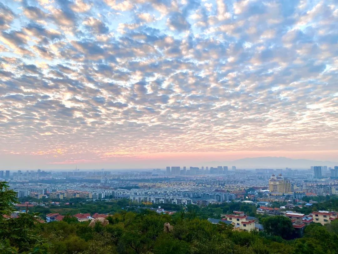 刘十九|今天的泰安，是彩云的城！从城里到泰山顶绝美照片曝光！太太太养眼了！