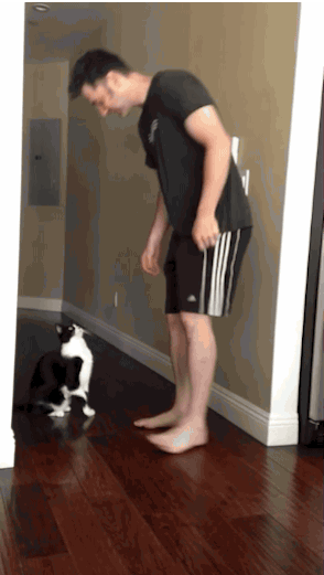 |搞笑gif:对于这种长着虎牙的妹子没有一点抵抗力,哈哈哈