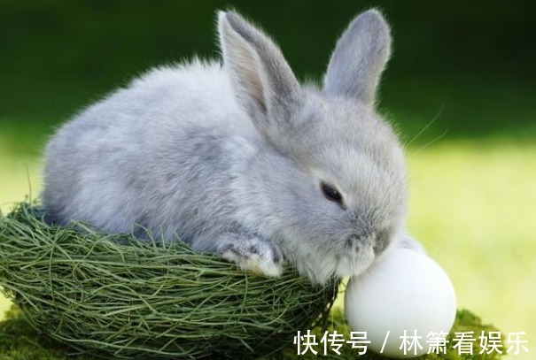 晚年|“生肖兔”的晚年命数，尤其是75年的好好看看，佛说一切都是天意