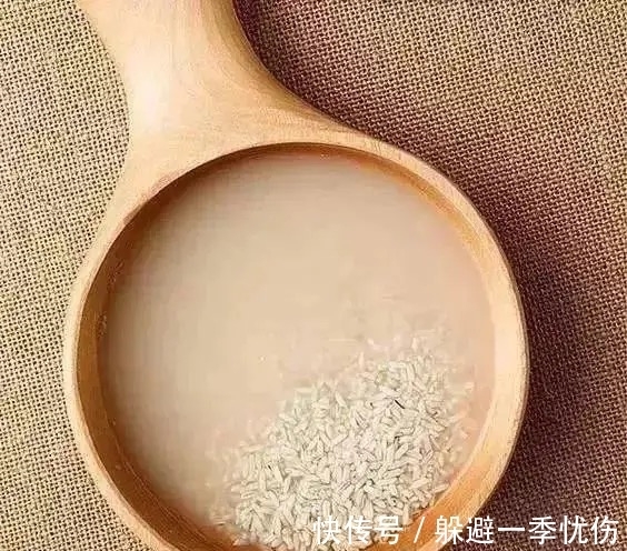 发酵|为什么你养的君子兰始终不开花?问题出在浇水上,四种水轻松化解