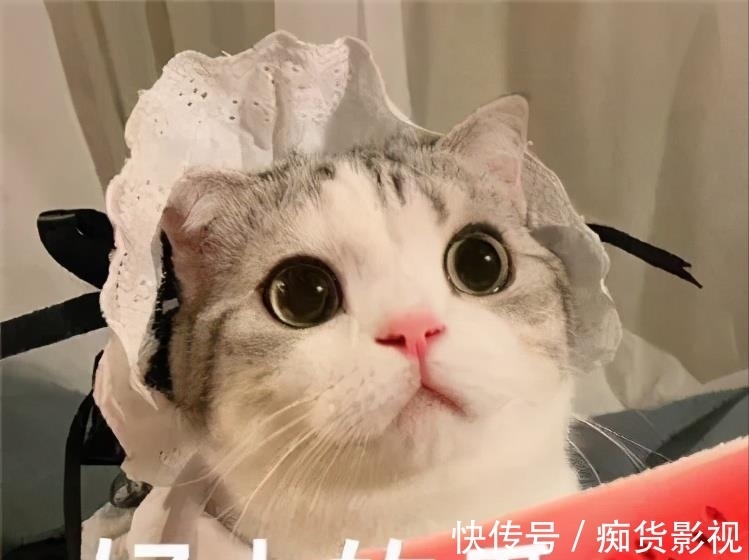 吳宣儀|《爆裂舞臺》臺下比臺上還精彩,周潔瓊安崎這表面功夫都不做了