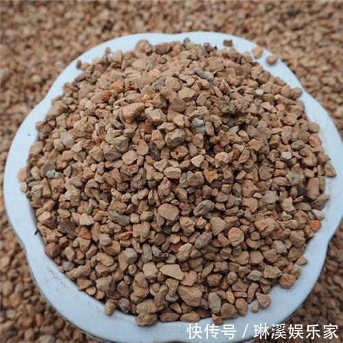 旧土|旧土留好别扔了,加点东西重新肥得流油,不板结养分高