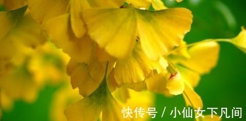 生肖兔属兔|往后3天，桃花漫天，和好在即，爱火重燃的生肖