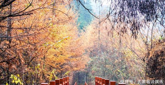 值得|西北最值得去的景区，是“沙漠中的绿洲”，古代修仙的人都住在这