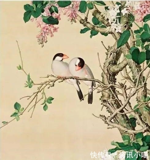 文化|历史、文化、传记……推荐几套内容丰富又精彩的人文社科好书