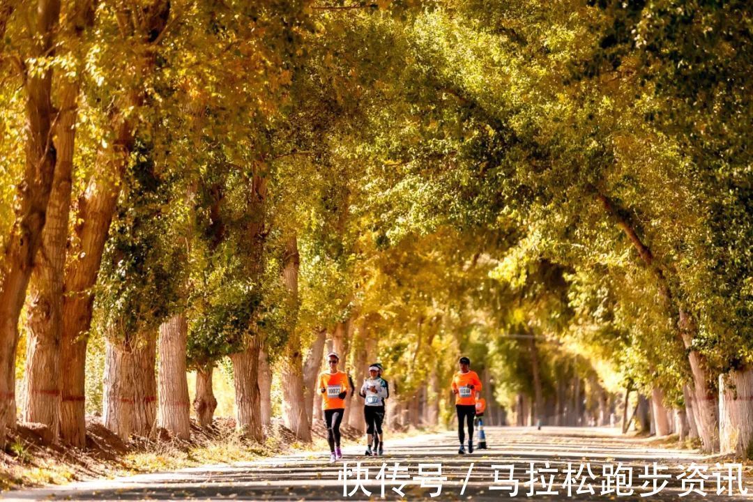 三门峡|杭州女马宣布延期 超40场赛事按下暂停 (附最新赛事日历)