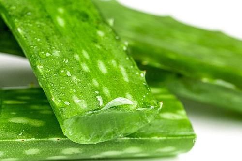芦荟直接涂脸上可以吗