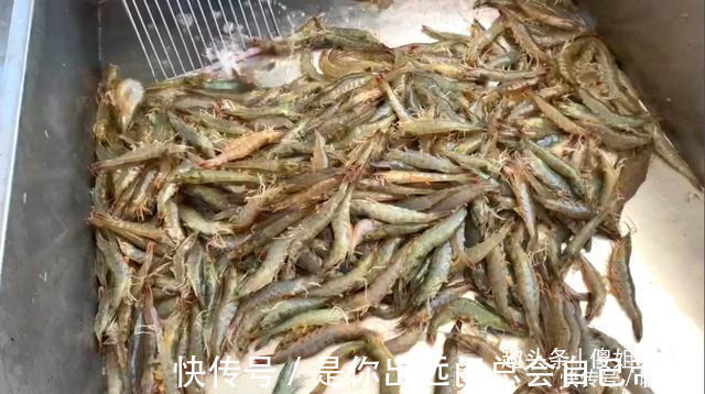 大虾|大虾冷冻保存时,直接放冰箱就错了,教你1招,跟鲜虾一样好吃