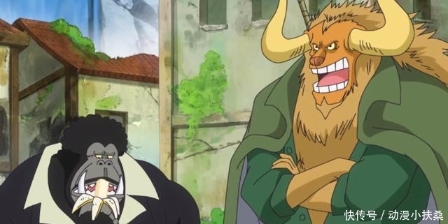 猫蝮蛇|海贼王:罗杰团第九第十号成员确认,罗杰的航海士,战力媲美大将