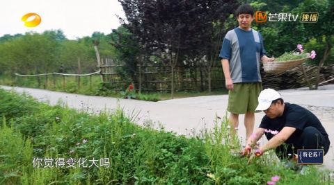 黄渤|黄渤再登向往的生活，观众却始终没能等到男人帮重聚