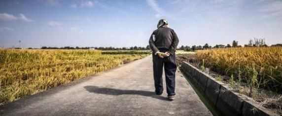  老人|2味药熬成一碗“耳鸣粥”！补肾气、止耳鸣，送给所有老人服用！