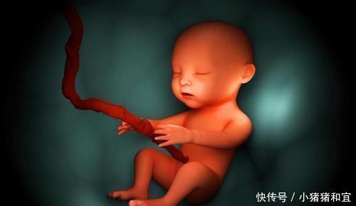 检查|四维B超产检孕妈满心期待,医生模棱两可的话,让妈妈猜了好几天