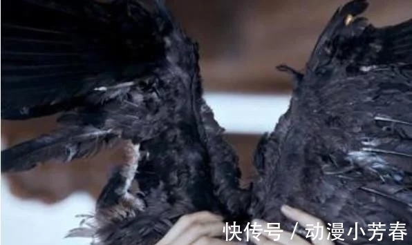 真人|真人版《斗破苍穹》斗气化马,《斗罗大陆》魂环化呼啦圈?