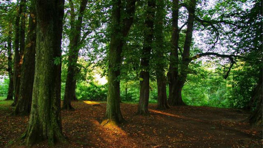 拍案叫绝|《全宋词》里最狂一首词,每一句都很狂,读来也是令人拍案叫绝