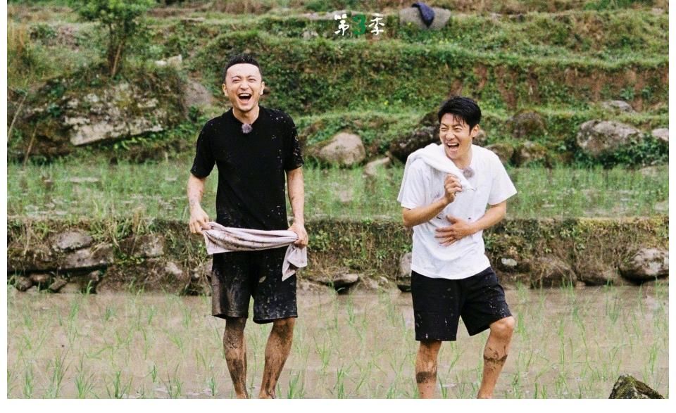 王冰冰|《你好生活》第三季嘉賓曝光，王冰冰朱廣權(quán)剛強(qiáng)真人秀首秀，收視率穩(wěn)了