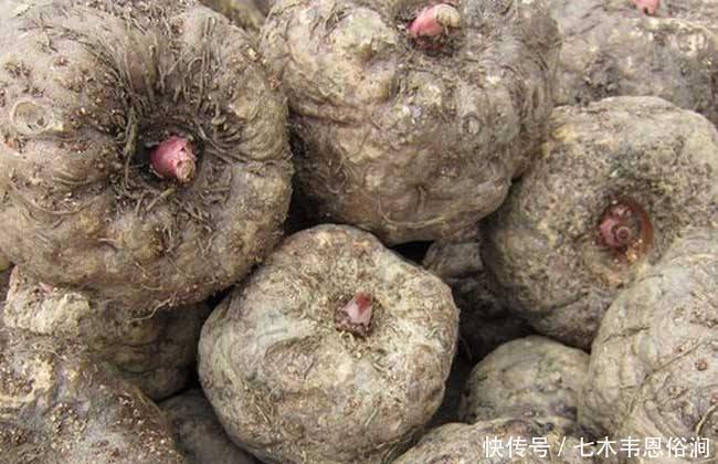 开关|肚子上有3个通便“开关”,每天“揉一揉”,肠胃一通,全身放松