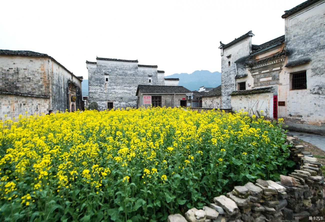 在安徽黟县旅行，西递、屏山、桃花源这三个地方，很值得看一看