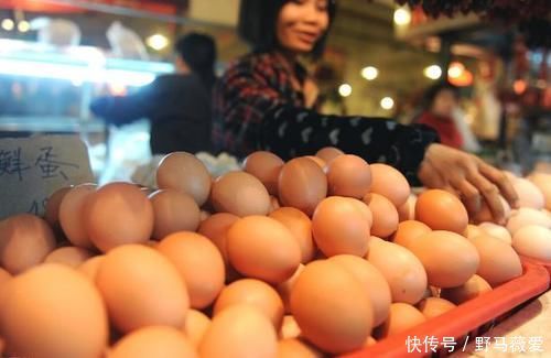 化肥|花生和瓜子壳、鸡蛋壳拿来养花,这么用,效果比化肥强10倍