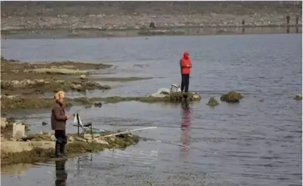 冬季如果想垂钓大鲫鱼,一定不要错过这些黄金钓位,下竿就有口!