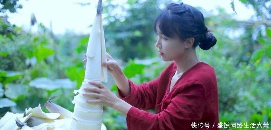 李子|李子柒螺蛳粉摊上事后,自制“蛋黄酥”也翻车,网友:这谁敢吃!