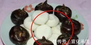 宠物|8岁男童生命垂危,胃里抽出一斤脓液,这些食物还敢给孩子吃吗