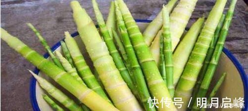 金铃子金铃子|会吃的人最健康,不妨多吃的食物,护肝明目,活血补血