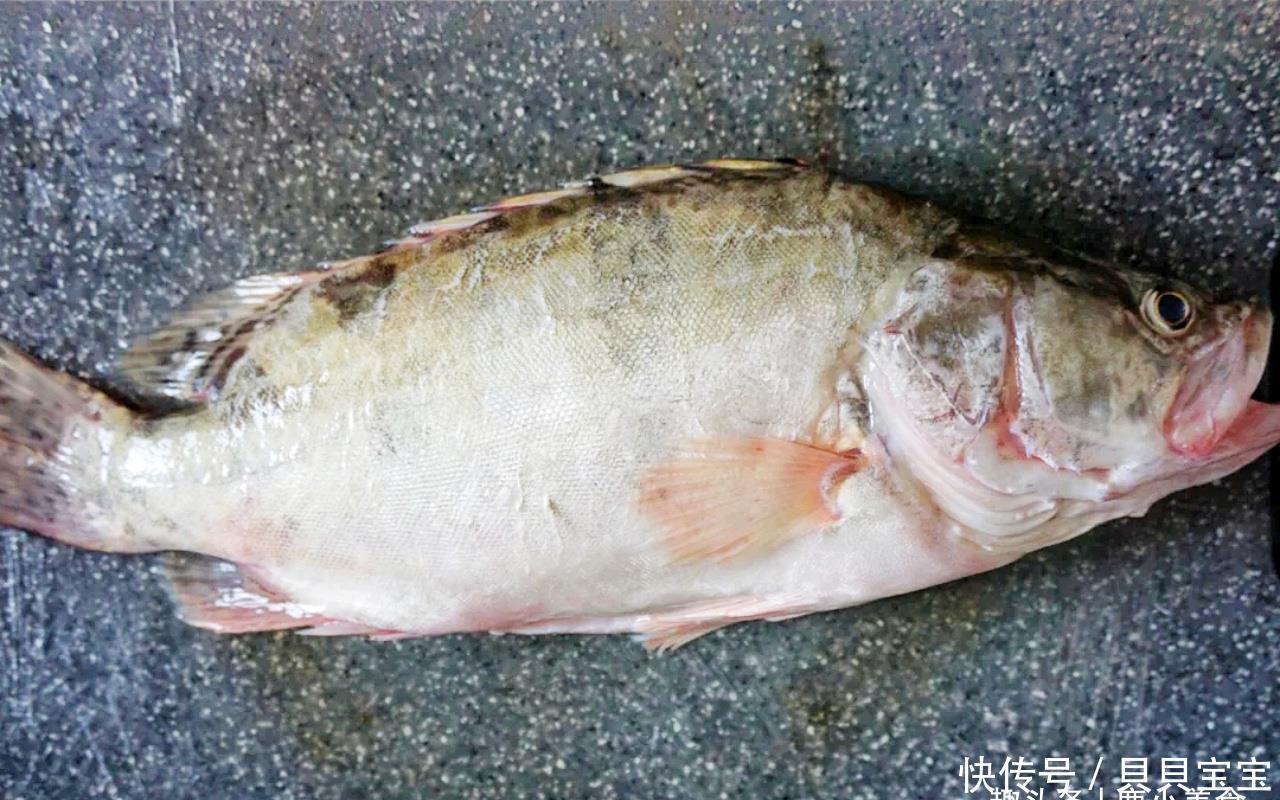 鲫鱼的身体部位名称图 鲫鱼的身体部位名称图