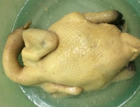  粤式|粤式白切鸡，别直接下锅煮，牢记“1泡2提”，白切鸡皮爽肉滑