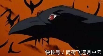 分身|火影忍者 他们的分身之术虽然少但质量好,比起鸣人的好很多