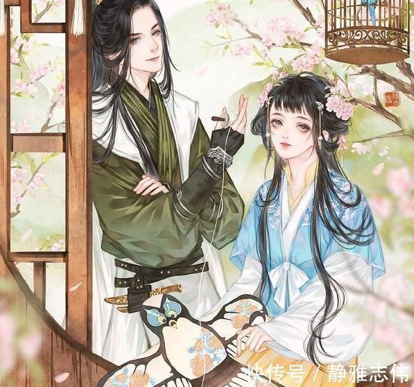 女主$五本评分95以上的小说,看完都舍不得删,书荒的收藏