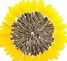 衰老|这8种食物是“衰老加速器”，每吃一口都在催你老