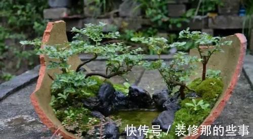 个性|破壶烂瓦做盆,每一个都破出了个性