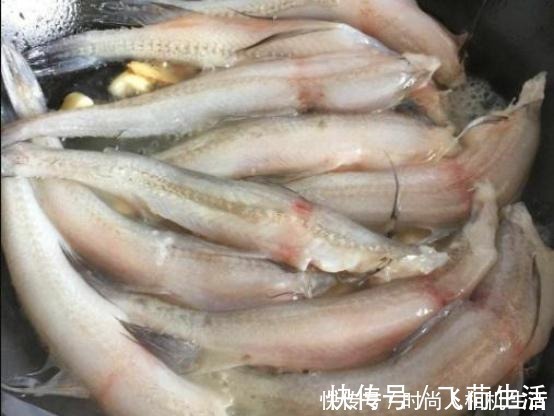 豆腐鱼|不懂吃这鱼可惜了,比虾便宜,比骨头补钙!