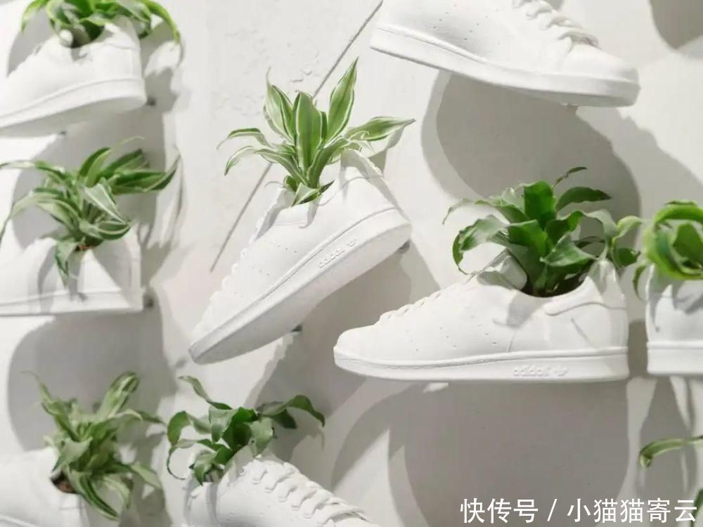 侃爷竟和奥巴马撞鞋了!都五十年了,明星们还在抢着穿这双鞋!