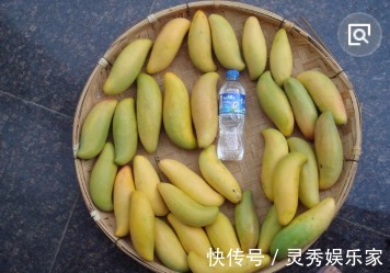 吃水果留“1勺子”,埋盆里,10天成盆栽,来年果子挂满树!