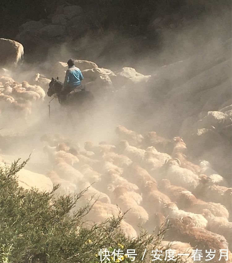 哈萨克|草原上的生命大迁徙哈萨克转场