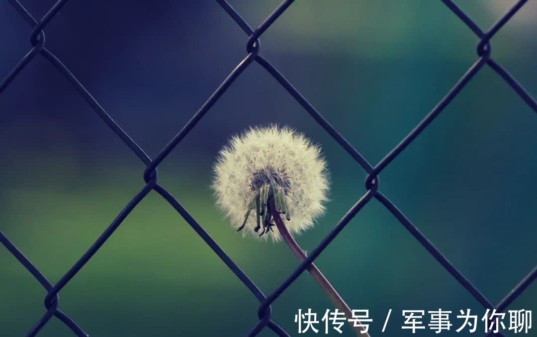 时光$花月几重重,时光风雨中