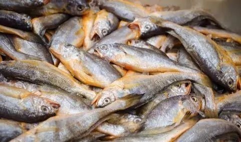 大虾|鱼虾放冰箱里超过“这个时间”,多贵也得“扔掉”,值得收藏