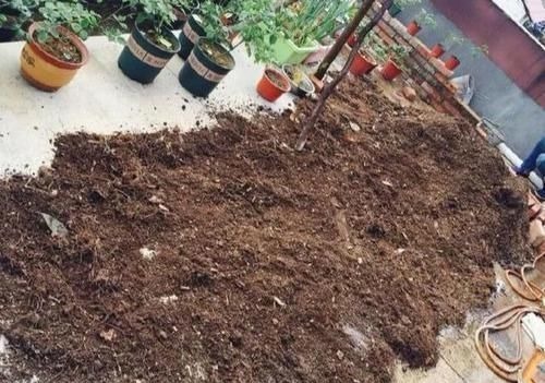 一种“万能土”,养花的人抢着挖,养兰花、君子兰杠杠滴