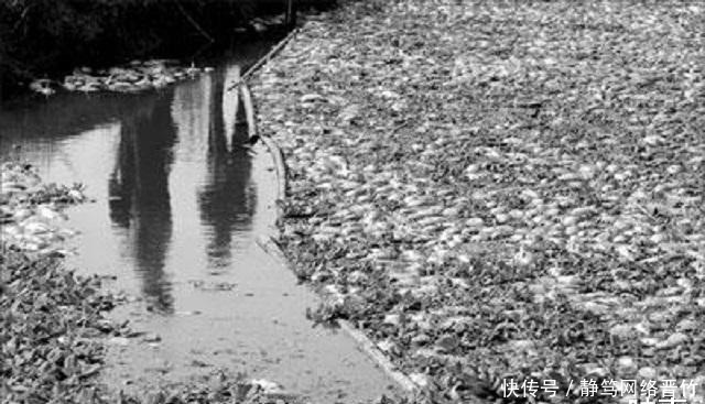 生活|牙医改行作家的余华:自由生活成就自由思想