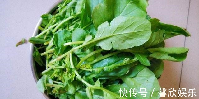 大小像“葡萄”一样的萝卜,种在花盆里,养30天就能摘一篮子